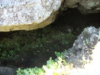 otte Scorciavacca20110306 076